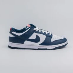 Nike Dunk Low Valerian Blue