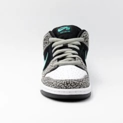 Nike Dunk SB Low Atmos Elephant -Nike 2R0A4198