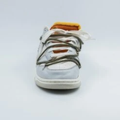 Nike Dunk Low Off-White Lot 22 -Nike DSF2323