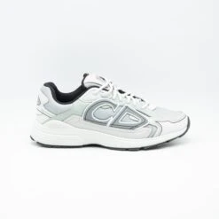 Dior B30 Reflective CD Grey Green