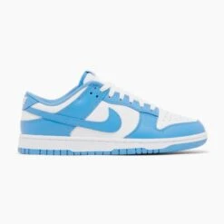 Nike Dunk Low Polar Blue