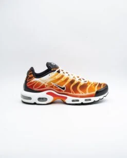 Nike Air Max Plus Light Photography 12 Nike Air Max Plus Light Photography -Nike Nike Air Max Plus Light Photography 4