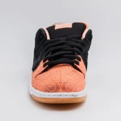 Nike Dunk Low Pro SB 'Fish Ladder' -Nike Nike Dunk Low Pro SB Fish Ladder 3