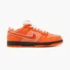 Nike Dunk SB Low Concepts Orange Lobster